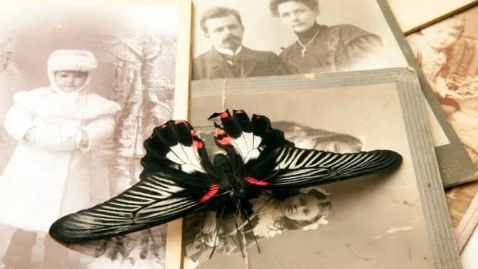 how to do pitru paksha puja at home